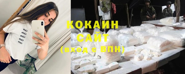 соль ск Алзамай