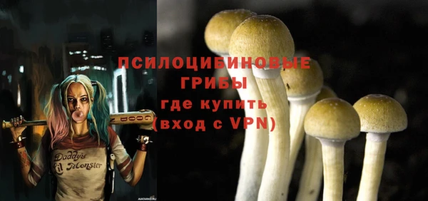 твердый Алексин