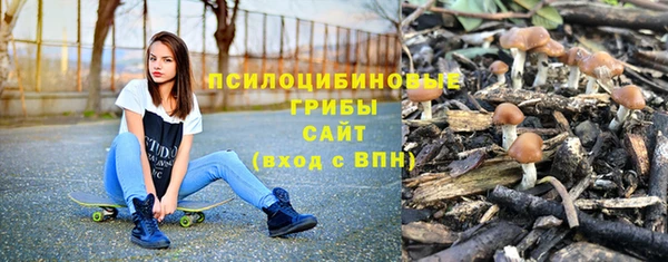 стаф Абинск