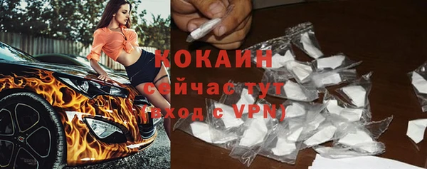 прущие грибы Абаза