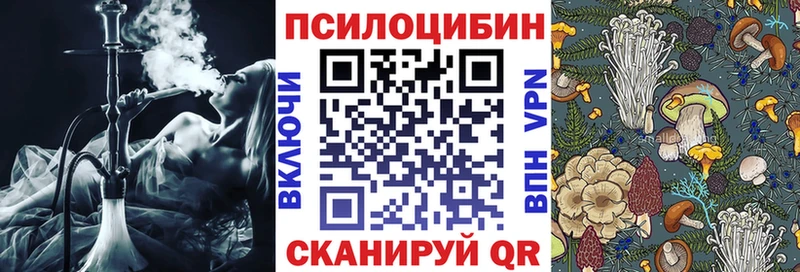Галлюциногенные грибы Cubensis где можно купить Обоянь